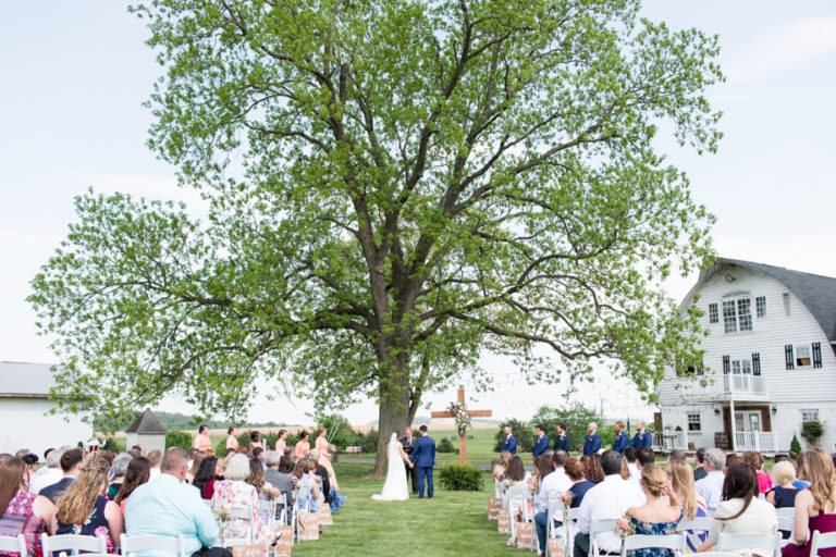 Brandy Hill Farm Wedding Virginia Katie + Michael Photography And